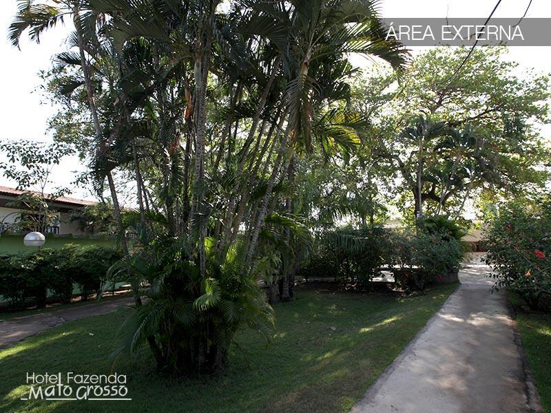 Hotel Fazenda Mato Grosso Cuiabá Eksteriør billede